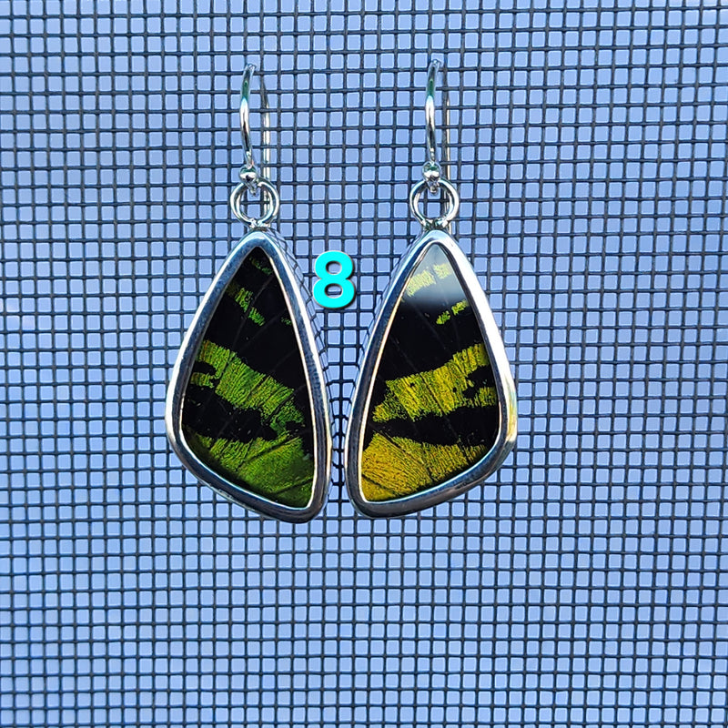 Butterfly Earrings - SM