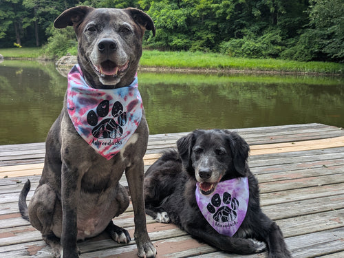 Adirondacks Dog Bandanas