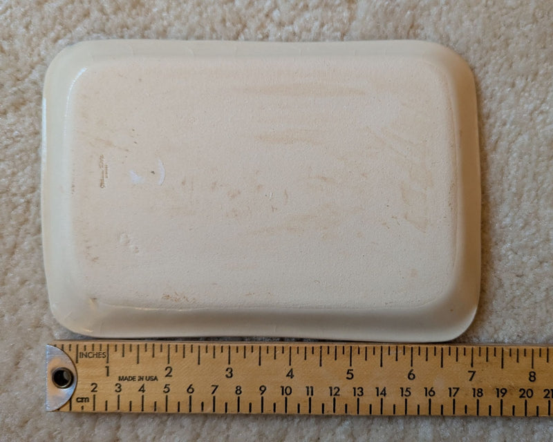Ski Trail Rating Tray
