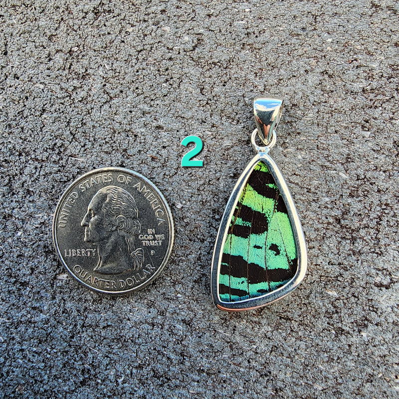 Butterfly Pendants - SM