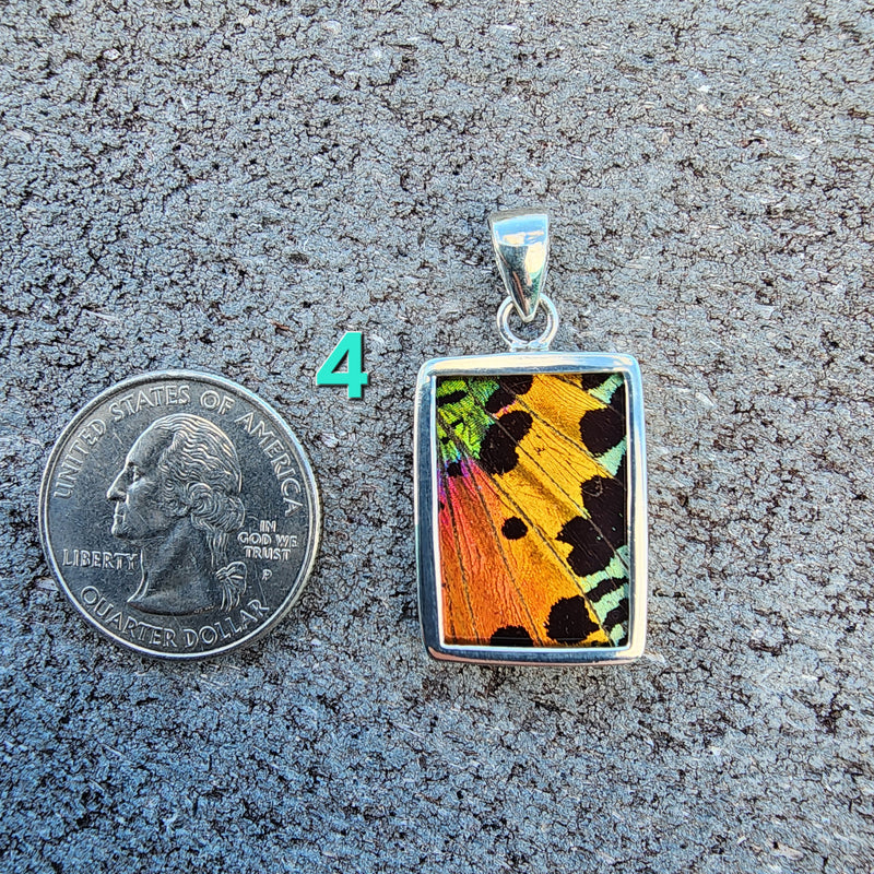 Butterfly Pendants - SM