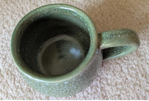 Fish Skin Mug